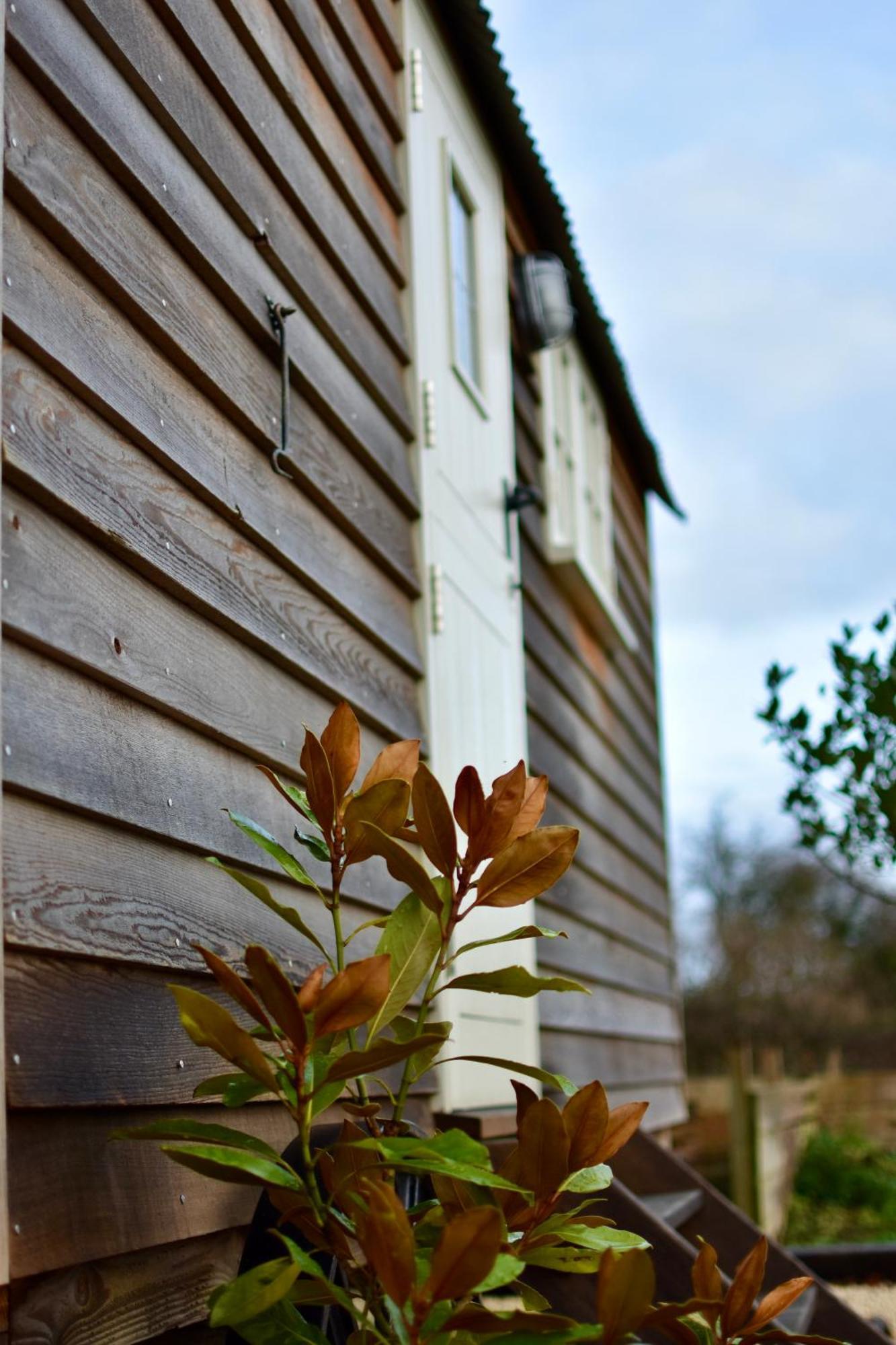 The Deer Hut Apartment *
